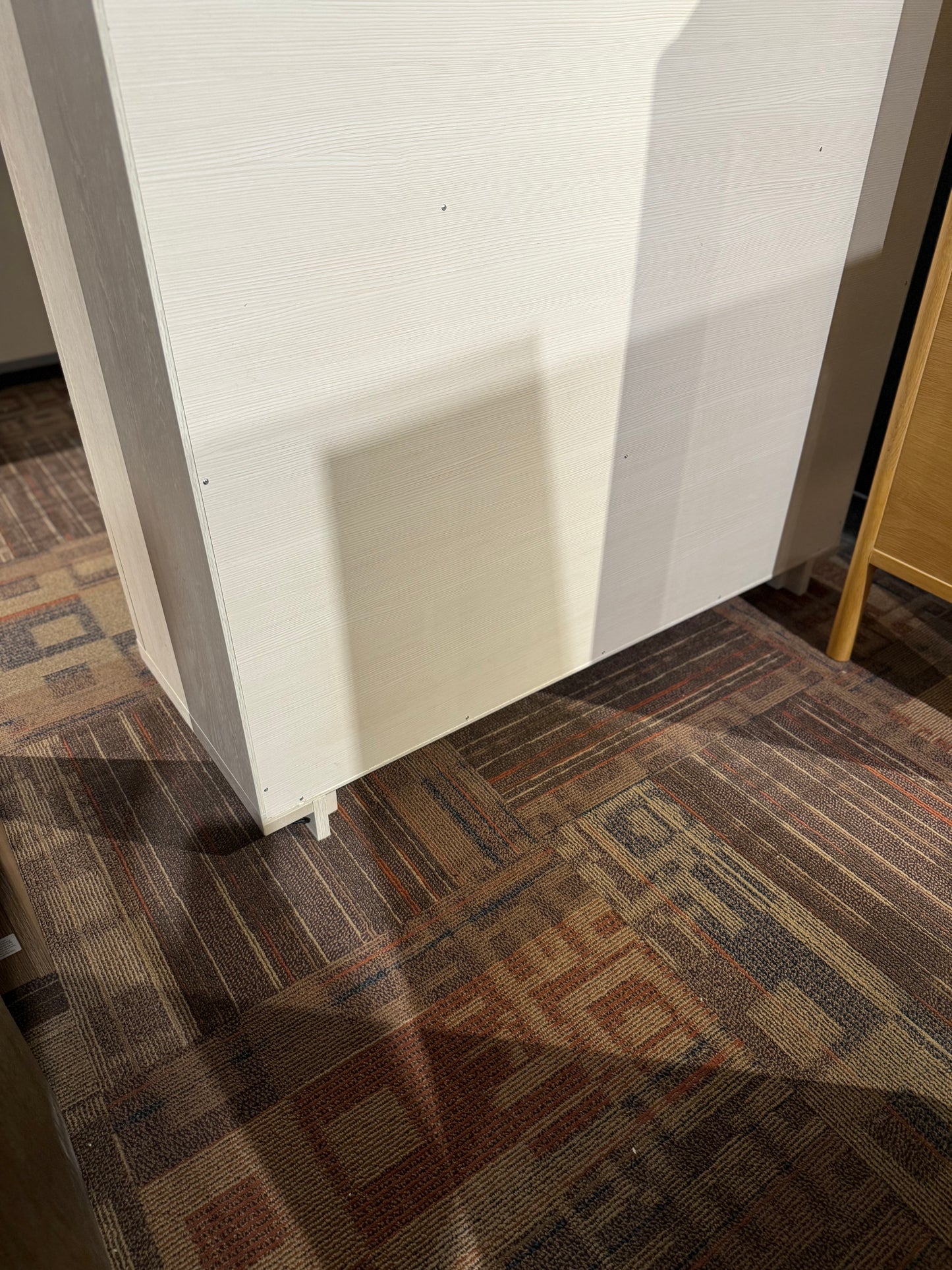 Zagas - Butterfly Curio